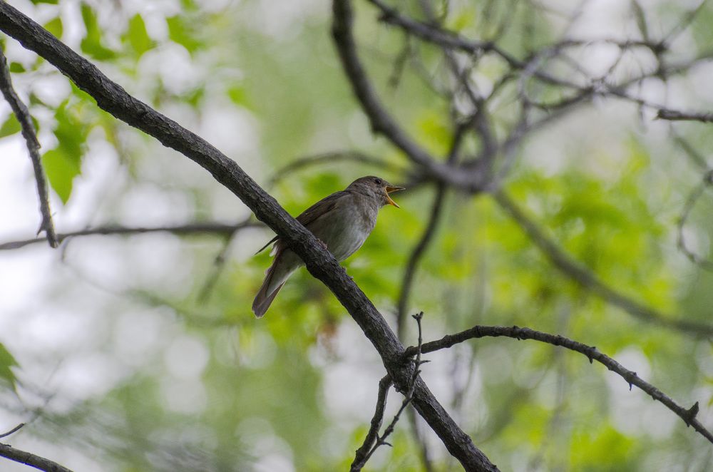 Photograph by Светлана Кудянова