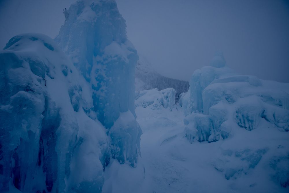 Фотография автора Онучина Юлия