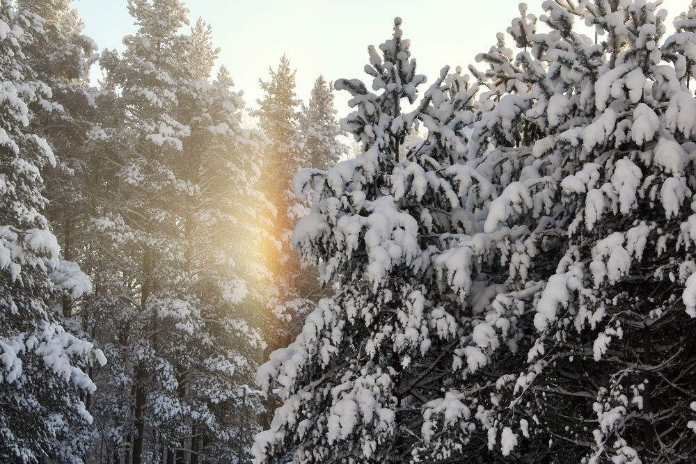 Photograph by Dmitry