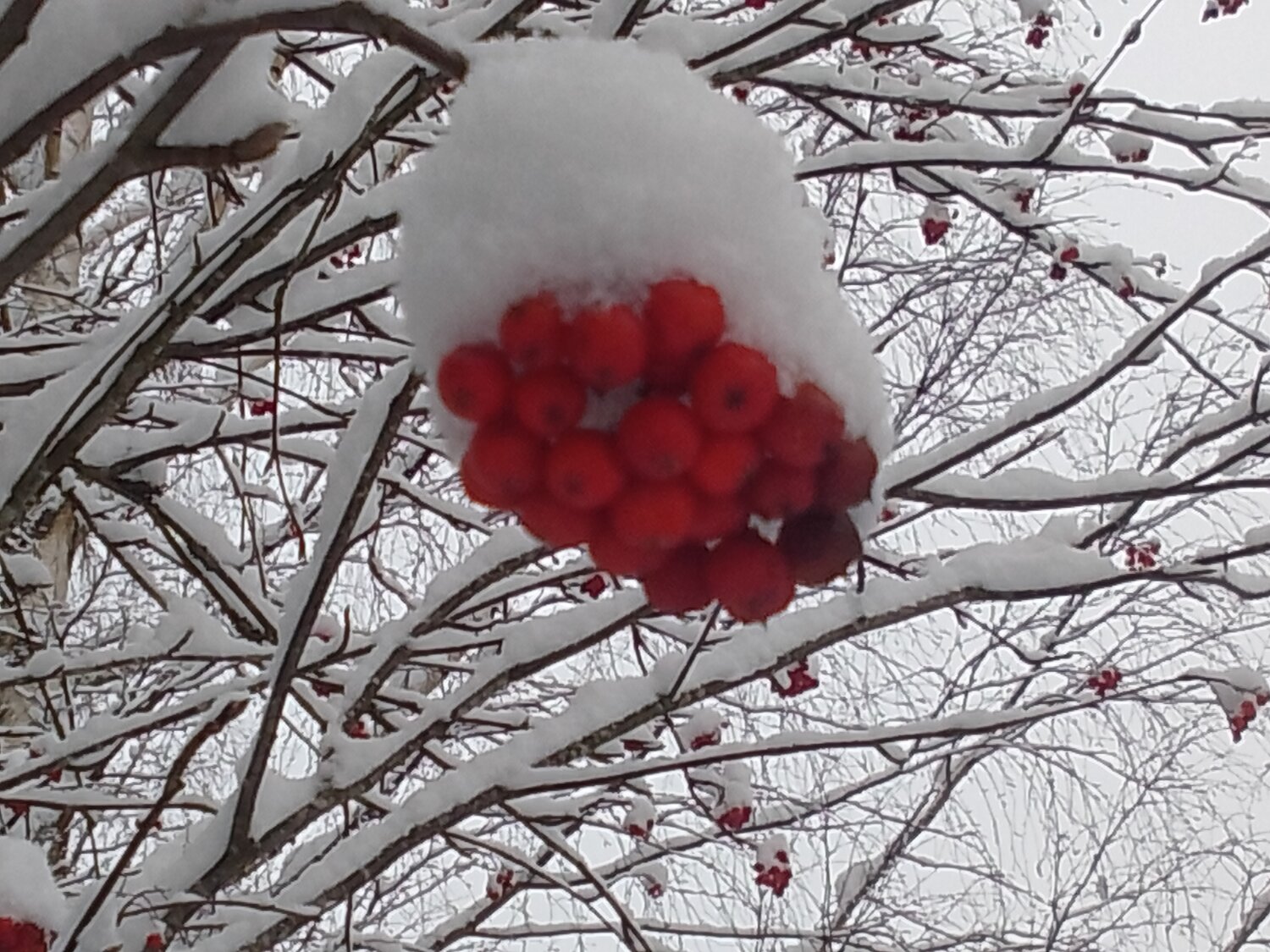 Photo #13228394