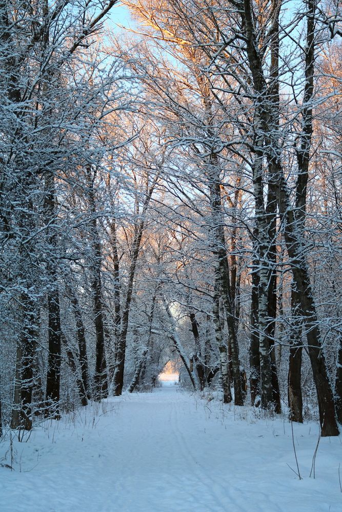 Photograph by Светлана Шуткова