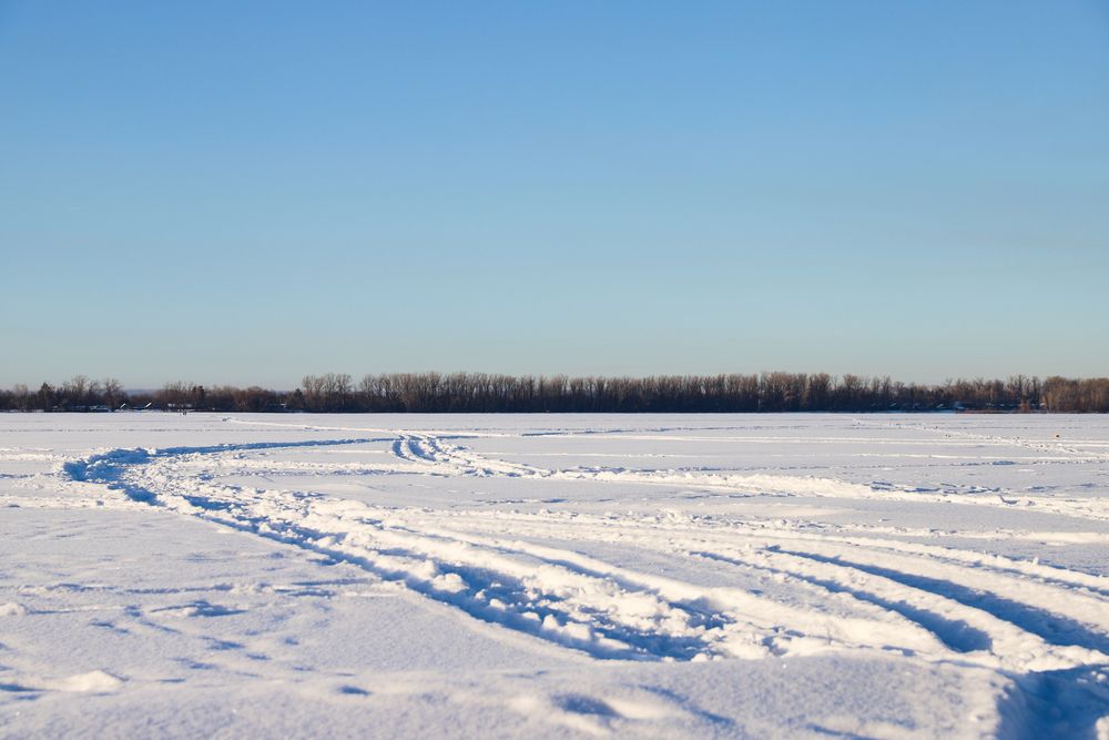 Фотография автора Дарина Фельдман