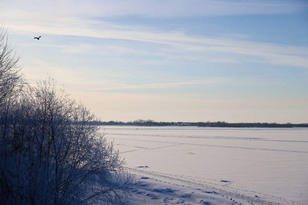 Фотография автора Дарина Фельдман