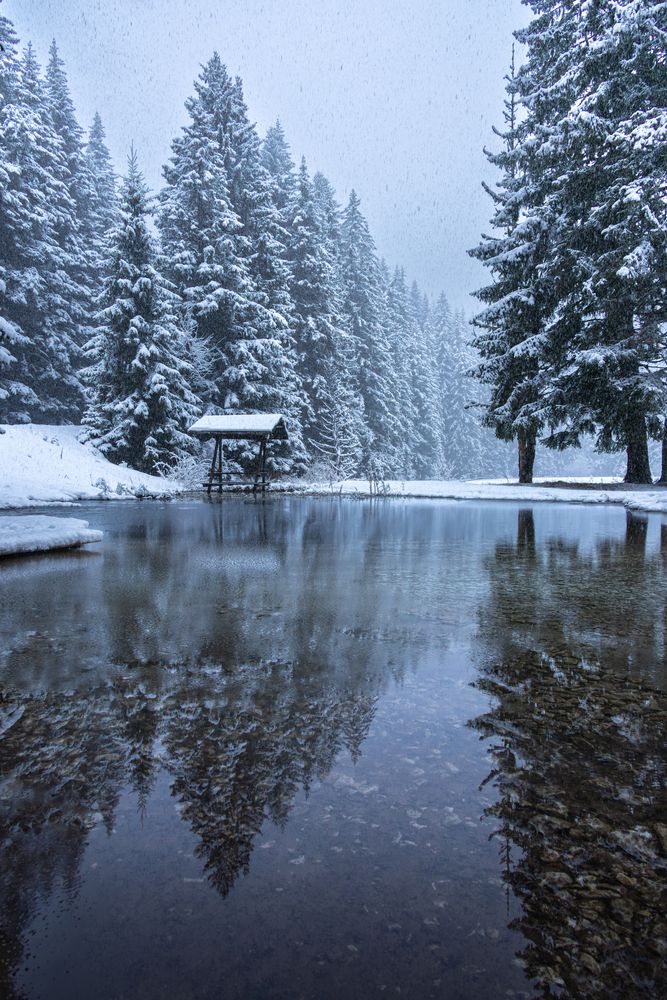 Photograph by Сергей Гук