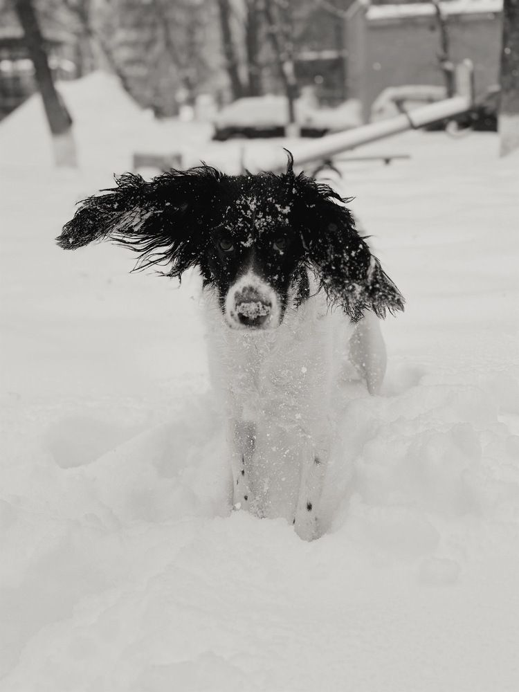 Photograph by АННА ЕРМАК