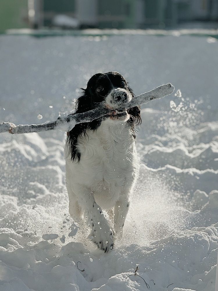 Photograph by АННА ЕРМАК