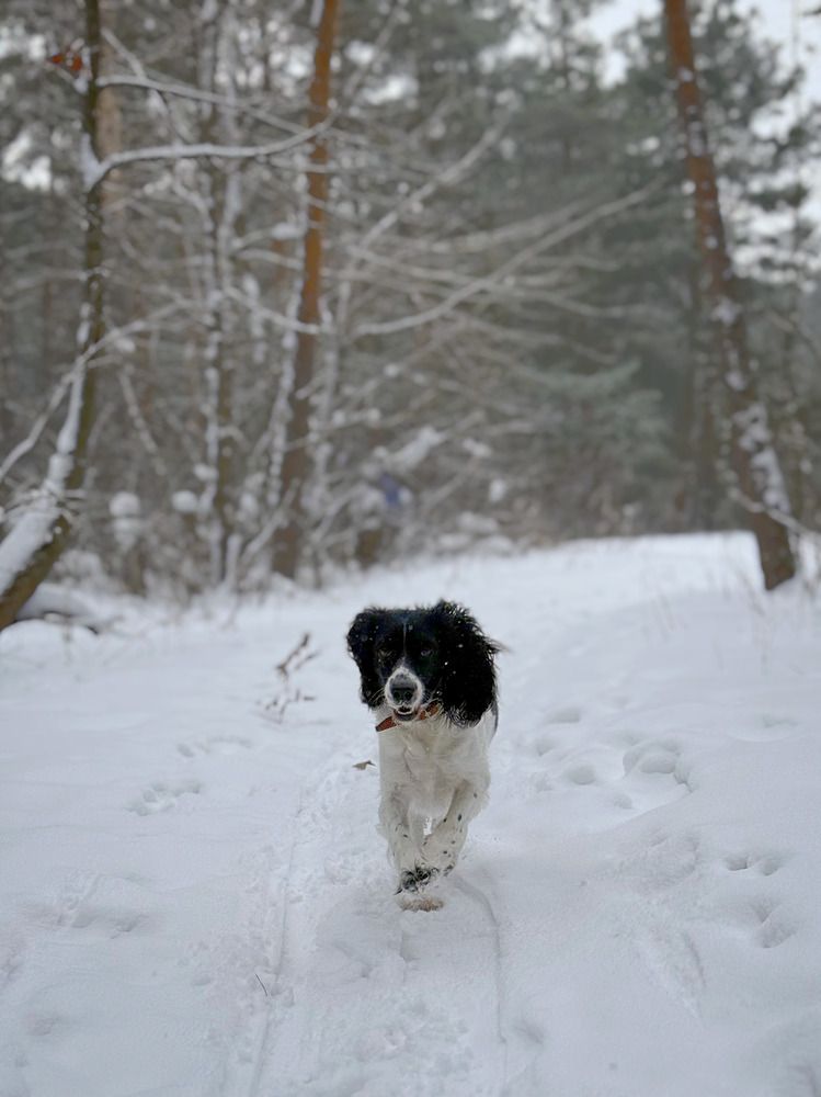 Photograph by АННА ЕРМАК