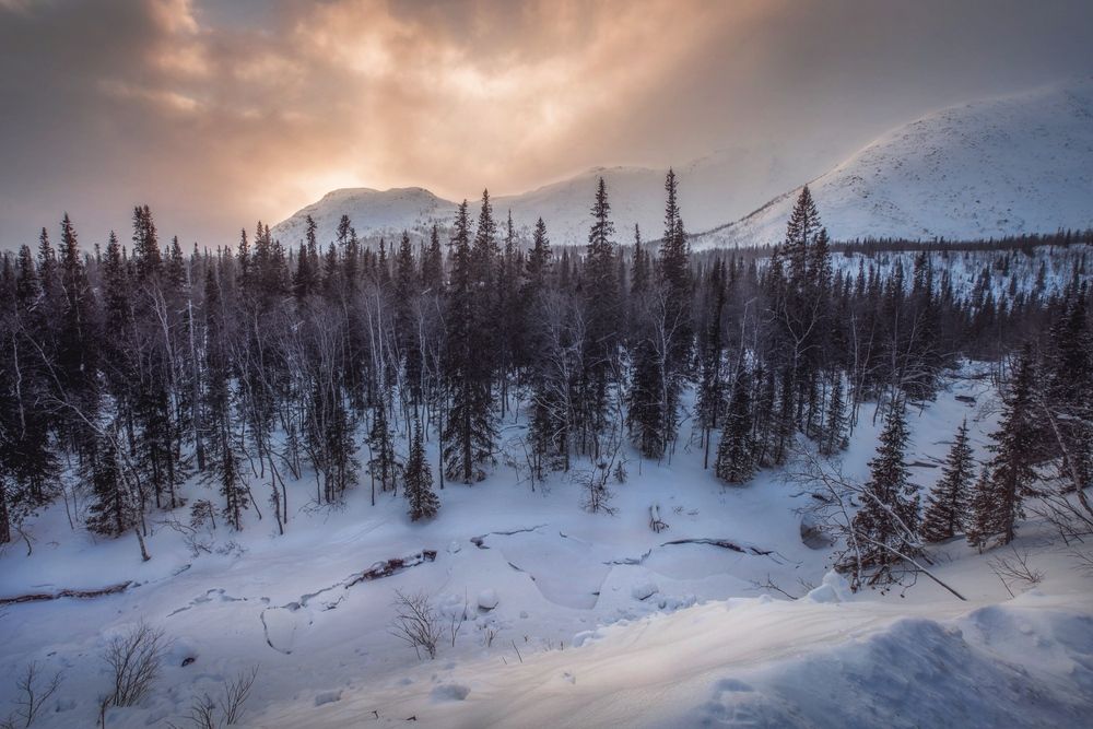 Фотография автора Онучина Юлия
