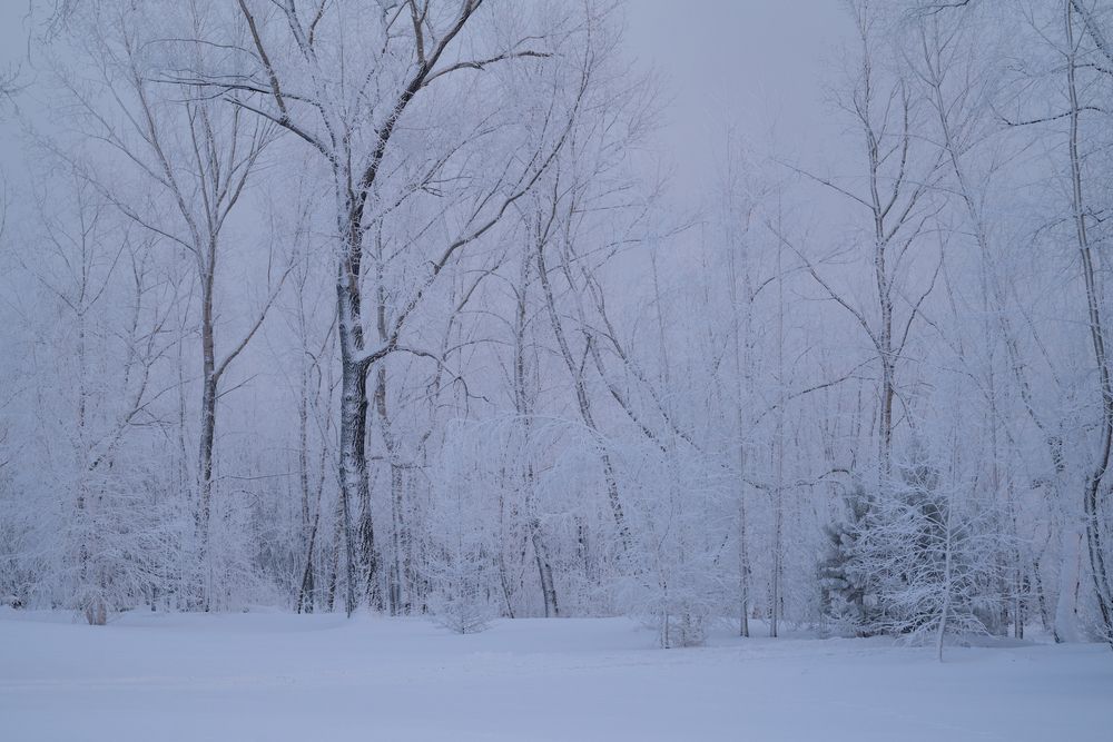 Photograph by Полина Матвеева