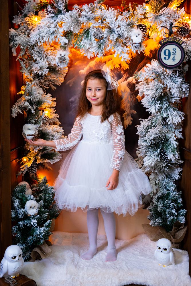 Photo #13228511