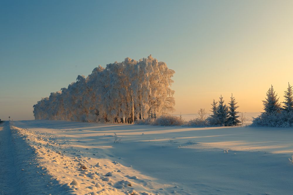 Дедушка Мороз постарался