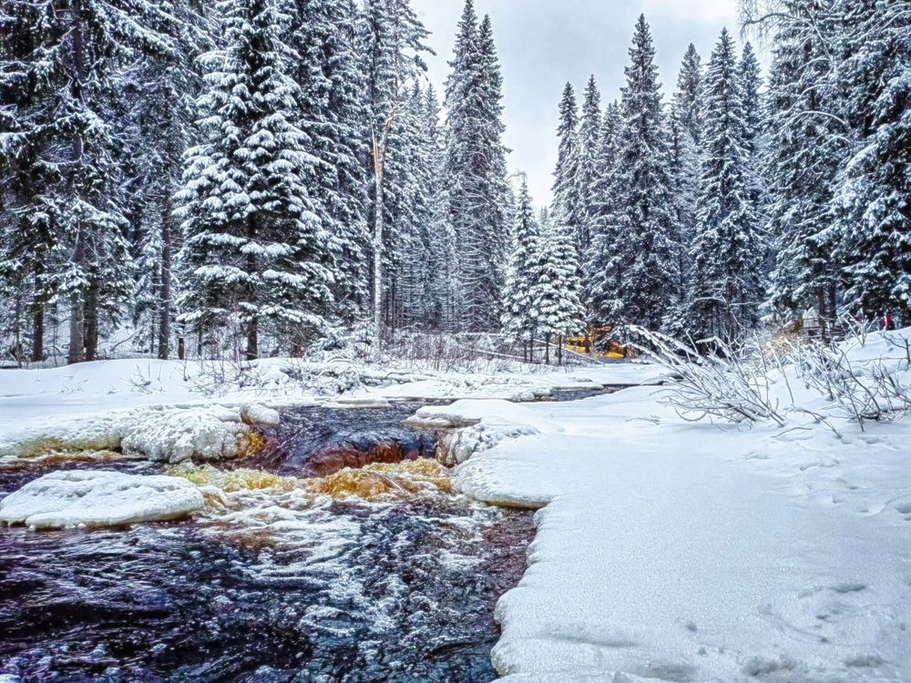 Photograph by Мария Самохвалова