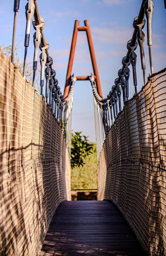 Фотография автора Sarrah Yehia