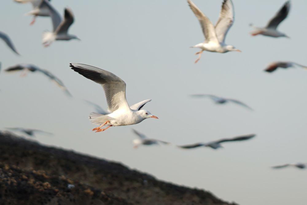 Photograph by Yuliya Onischuk