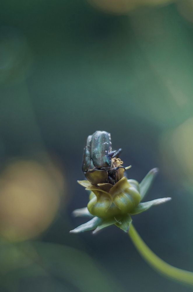 Photograph by Татьяна Бардак