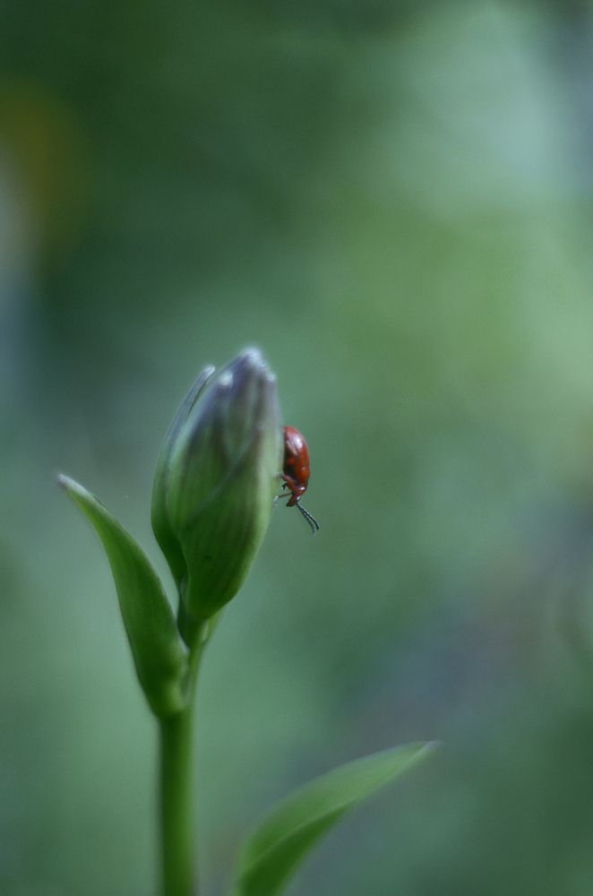 Photograph by Татьяна Бардак