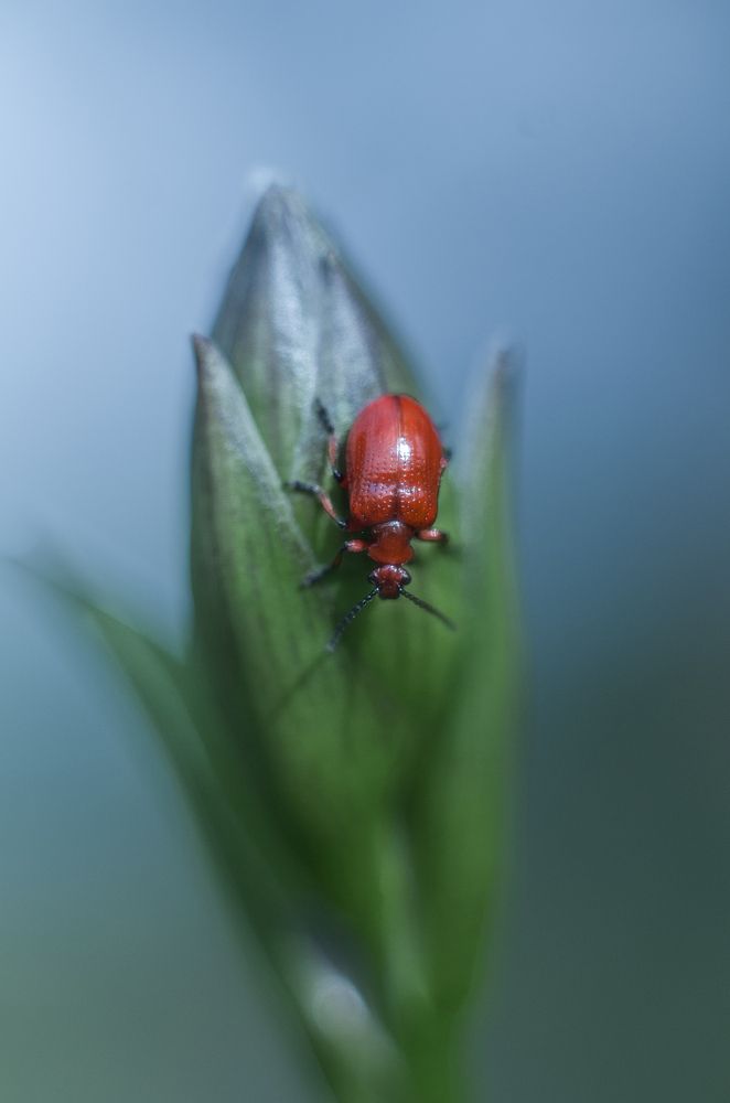 Photograph by Татьяна Бардак