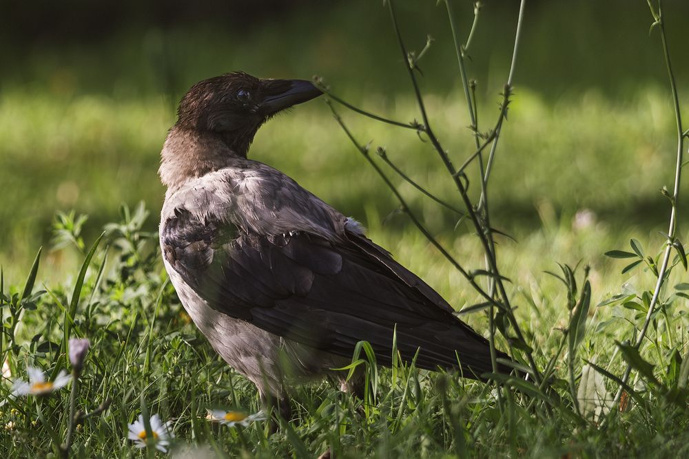 Photograph by Татьяна Лешкевич