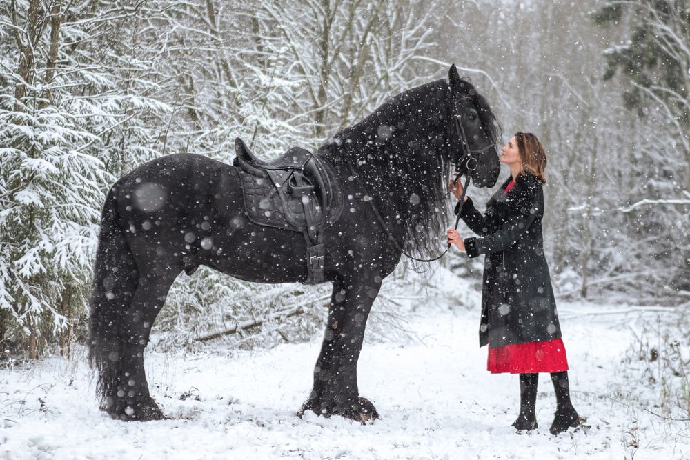 Photograph by Татьяна Чапко