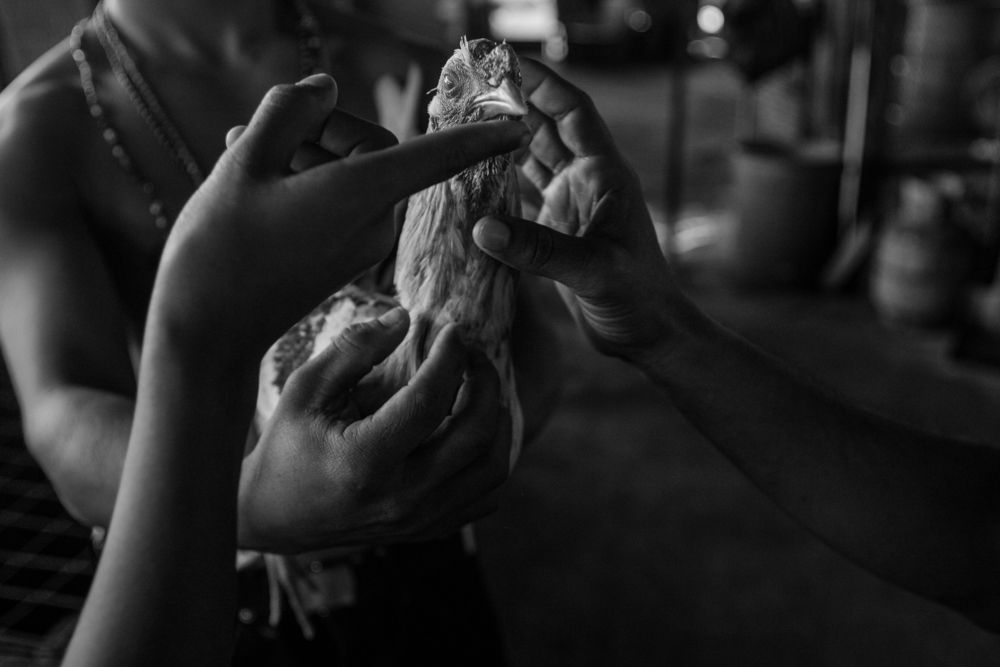 Photograph by Nicola Rocco