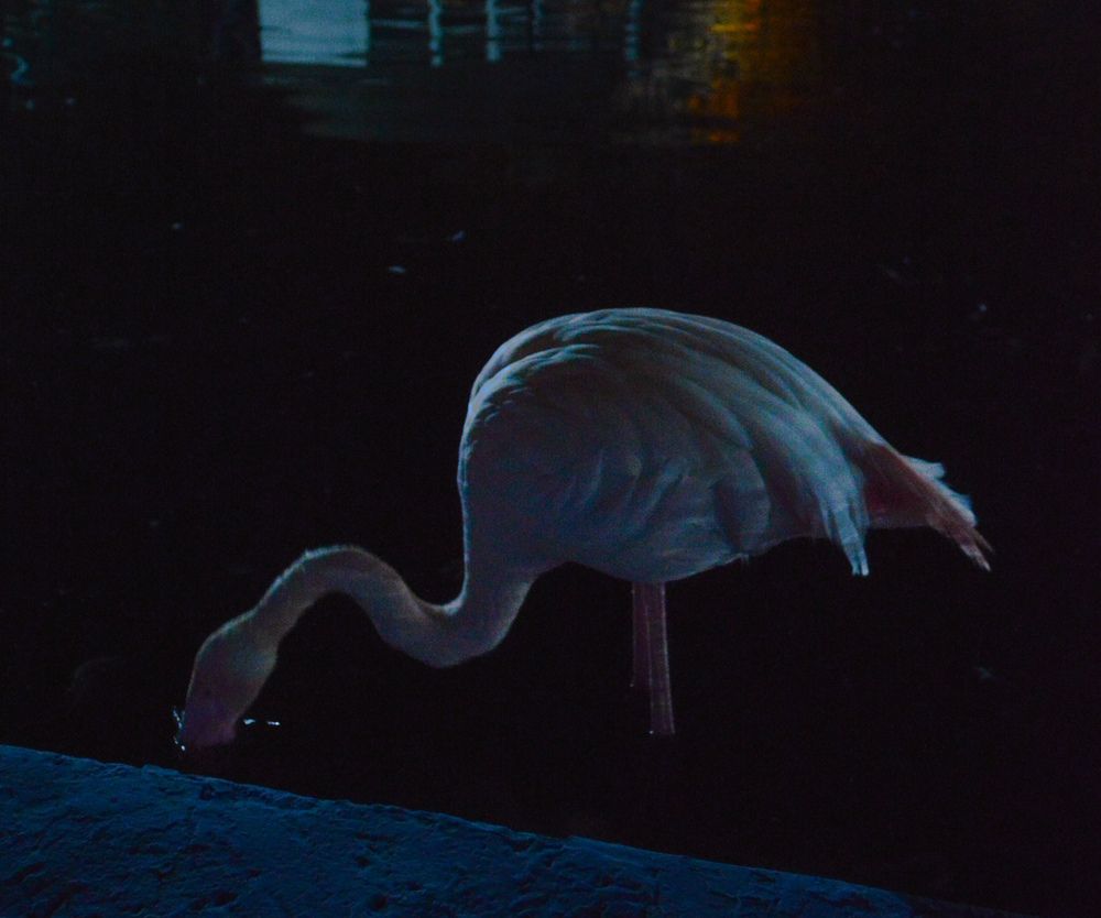 Photograph by Сафонова Екатерина