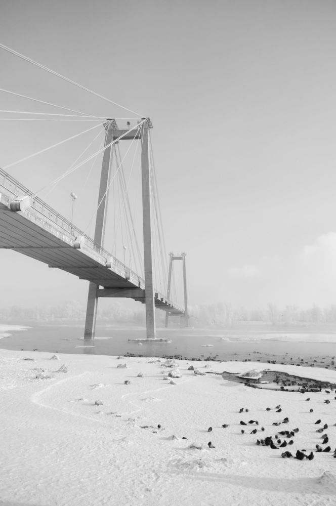 Фотография автора Александр Кучерявый