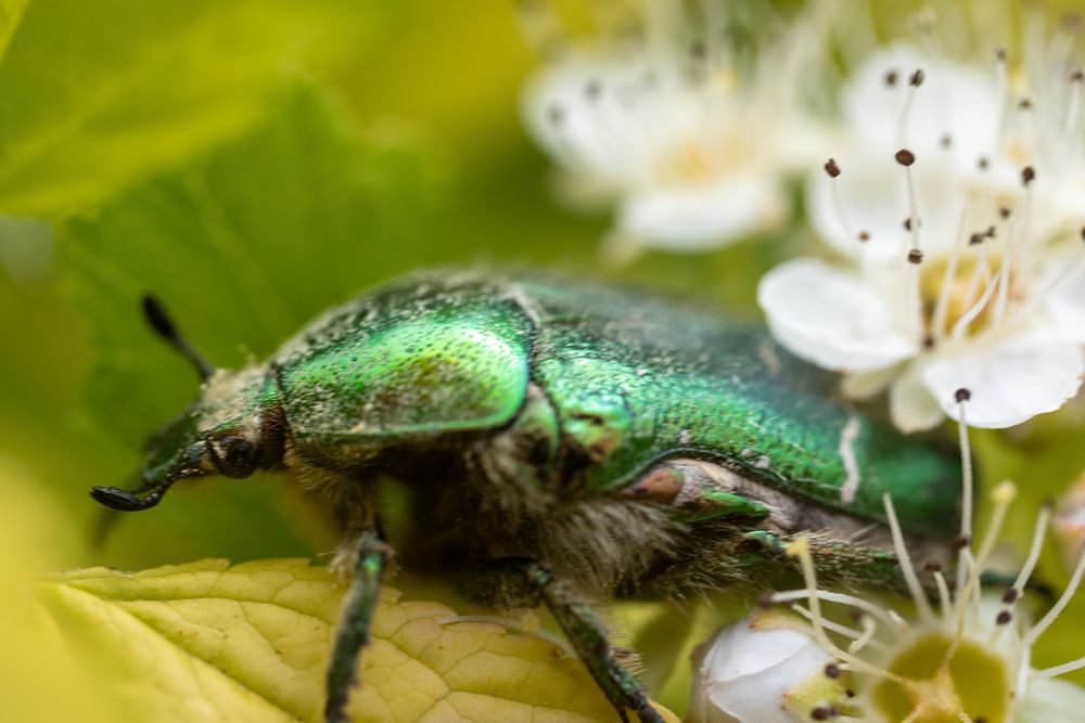 Photograph by Даниил Пузаков