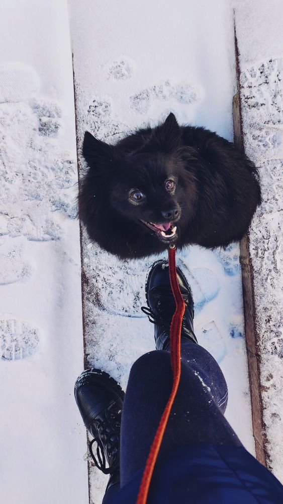 Photograph by Maria Stankevich