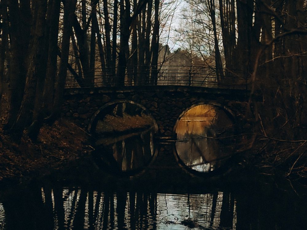 Photograph by Maria Stankevich