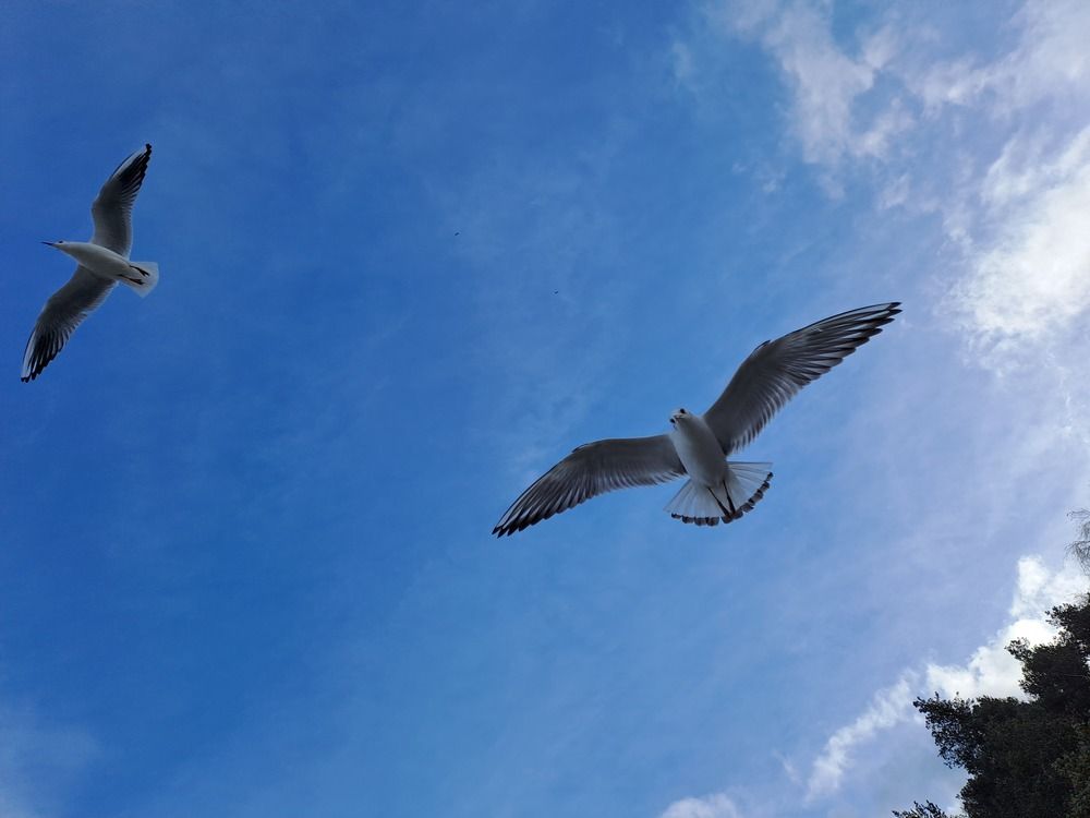 Photograph by Ирина Савельева