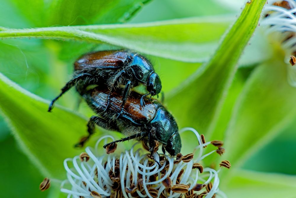 Photograph by Михаил Косолапов