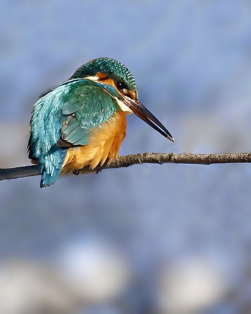 Photograph by Игорь Чеботарёв