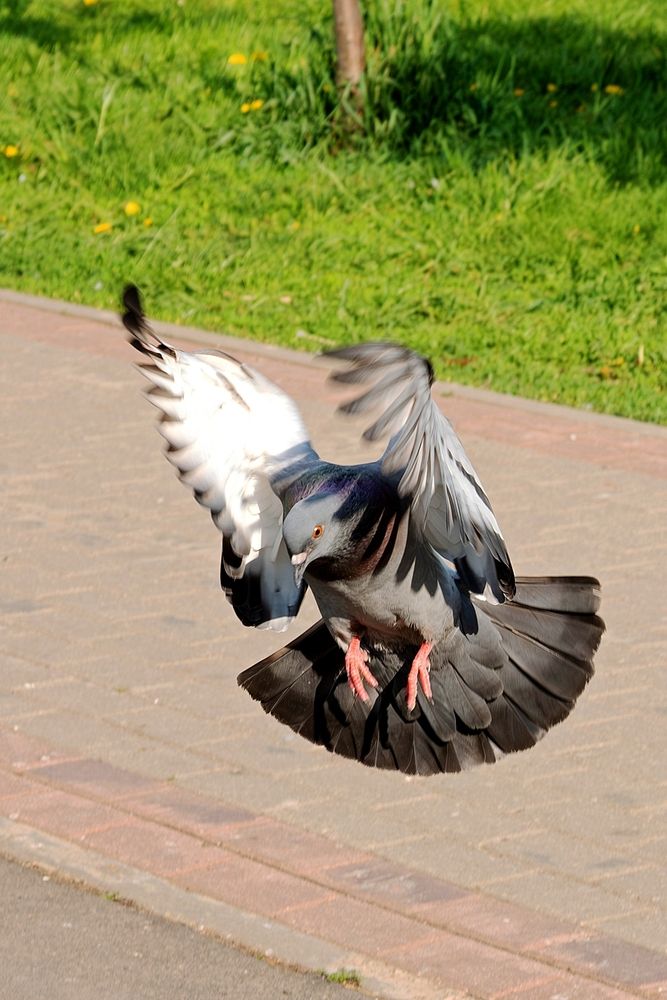 Photograph by Михаил Косолапов