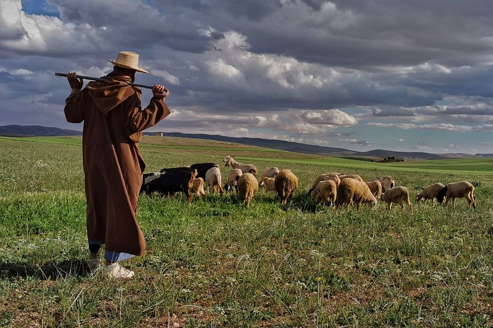 Photograph by Azzeddine Memmou