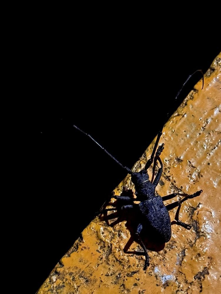 Photograph by Алена Кривцова