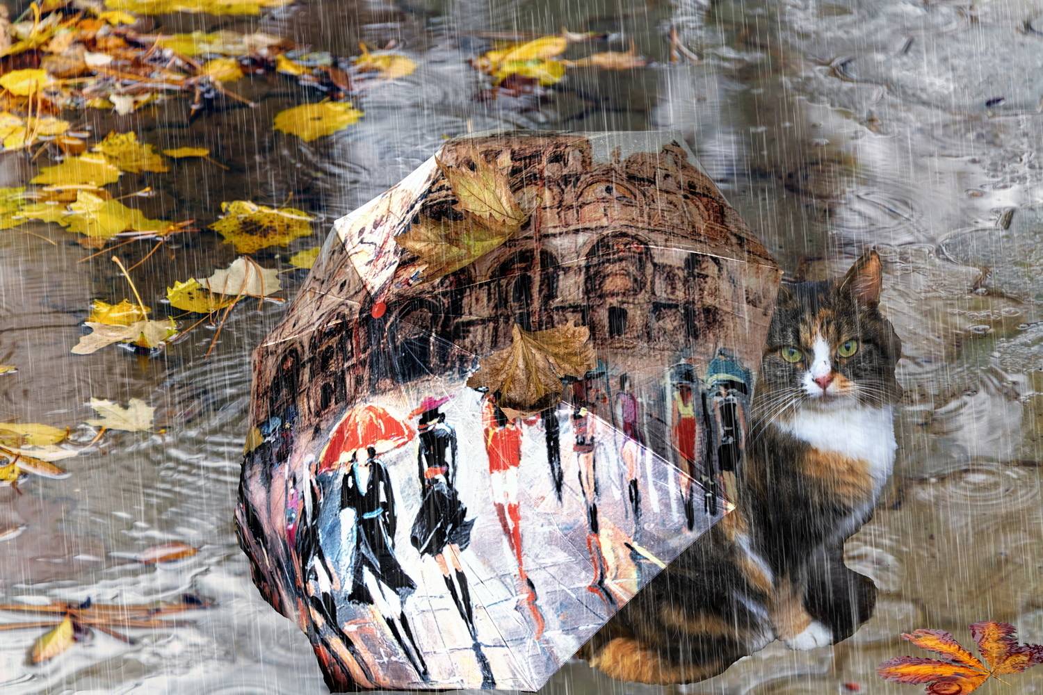 Подарите кошке зонтик!