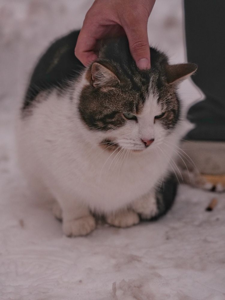 Photograph by Юлия Медведева