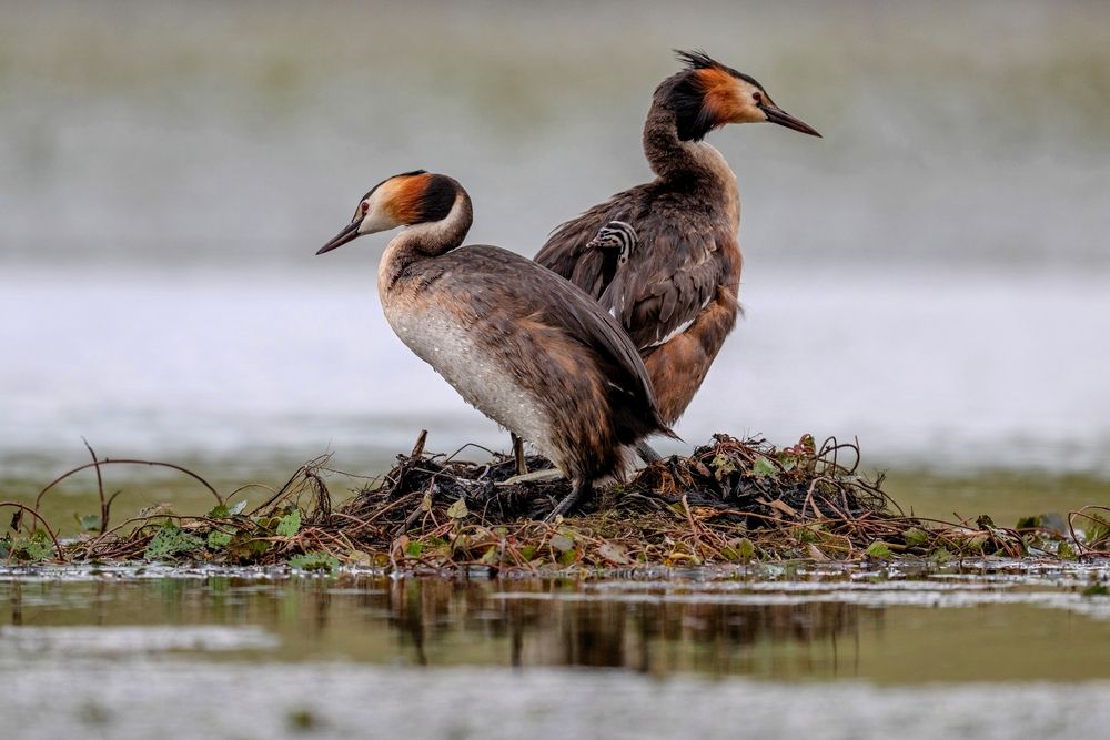 Photograph by Константин Тучин