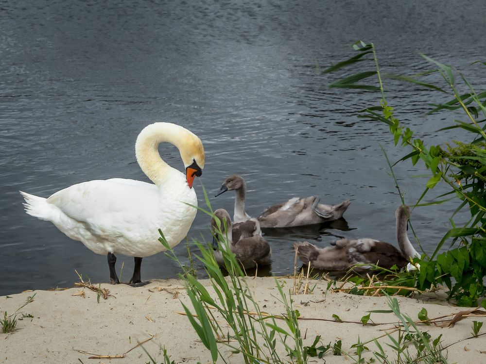 Photograph by Наталья Колеватова