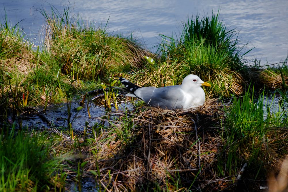 Photograph by Наталья Колеватова