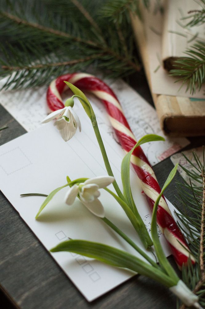 Photograph by Кира Горбова