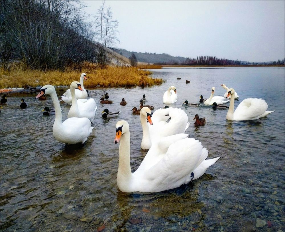 Photograph by Мария Самохвалова