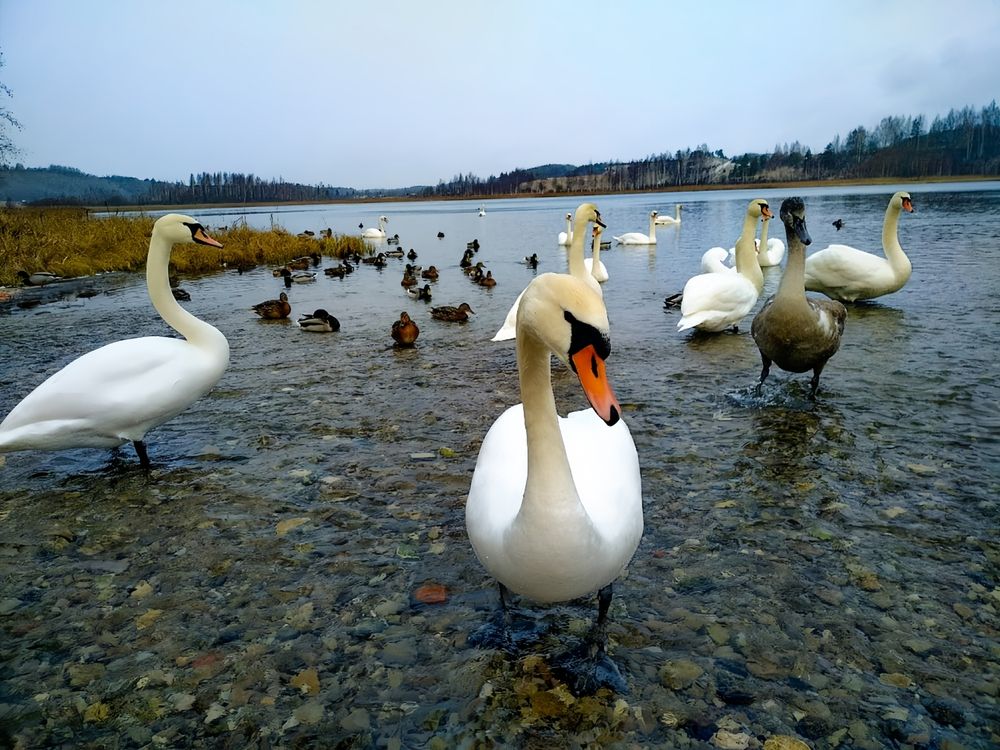 Photograph by Мария Самохвалова