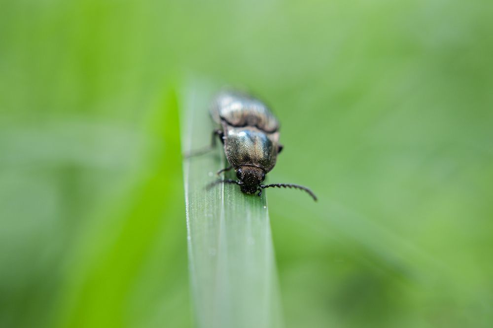 Photograph by Татьяна Жиркина