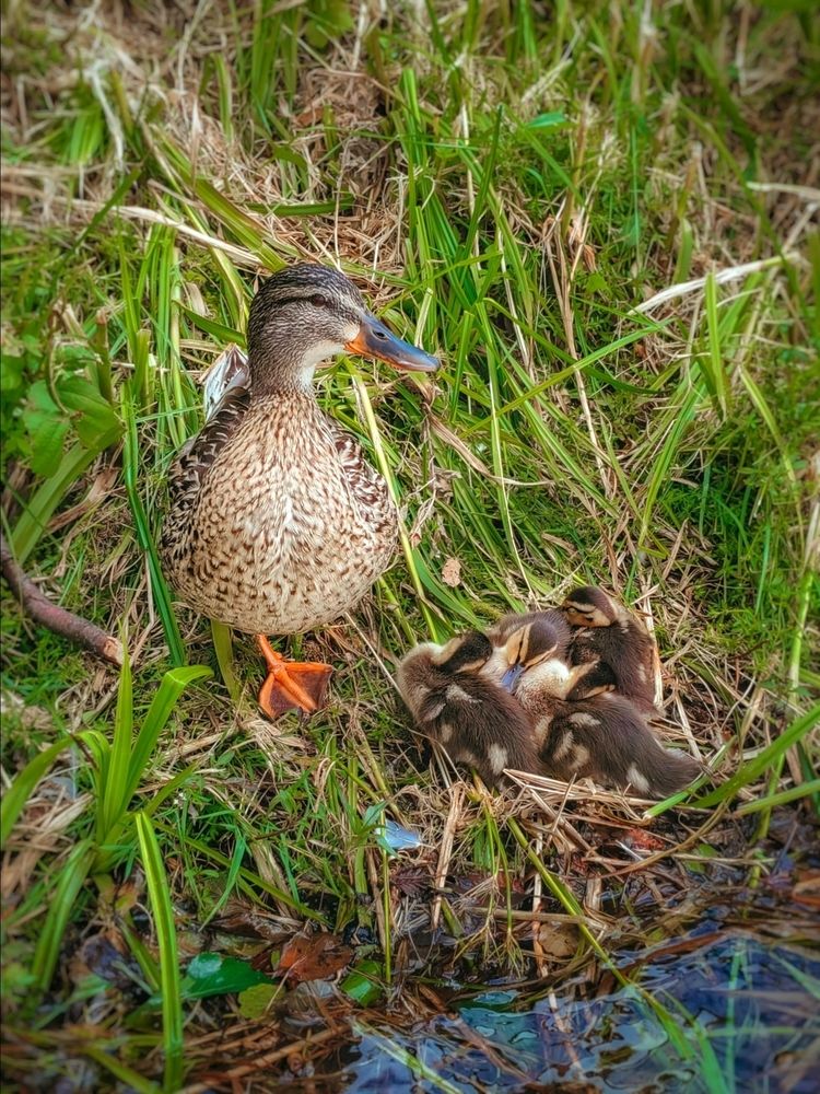 Photograph by Мария Самохвалова