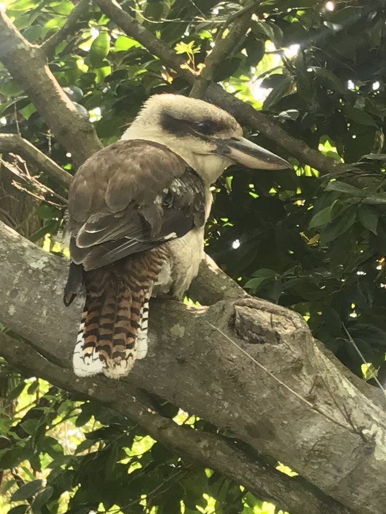 Фотография автора Ben Gorman