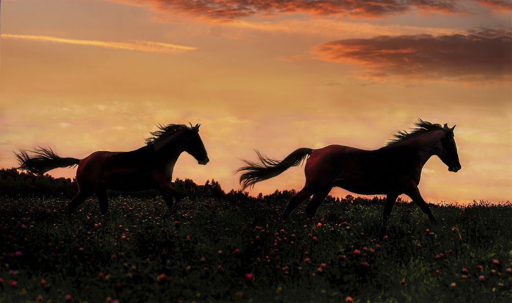 Photograph by Екатерина Лебедева