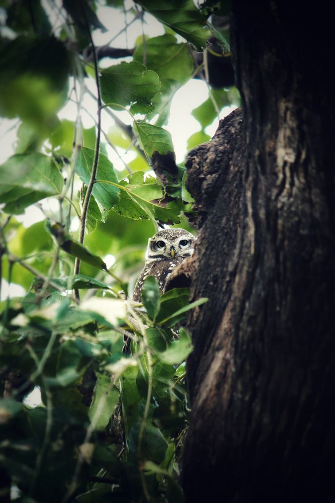 Фотография автора Aslin Neroth