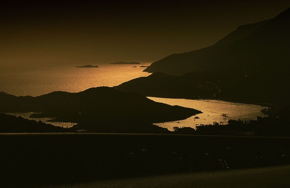 Фотография автора Бороздина Мария