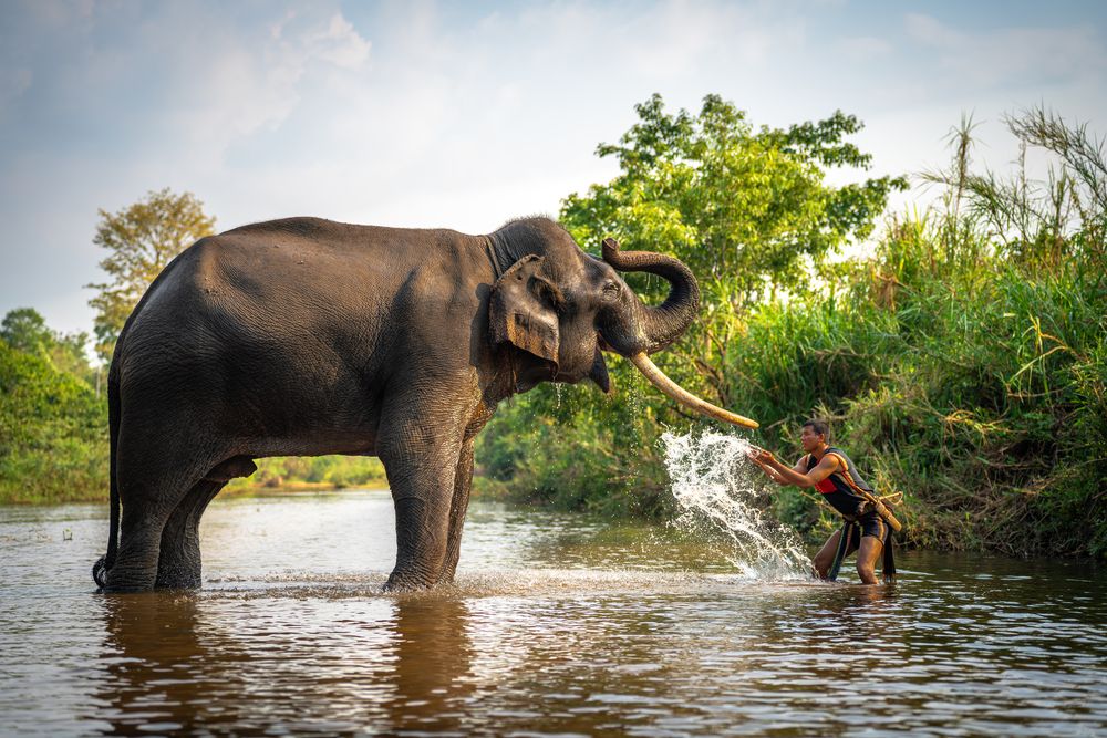 Photograph by Tran Phuong